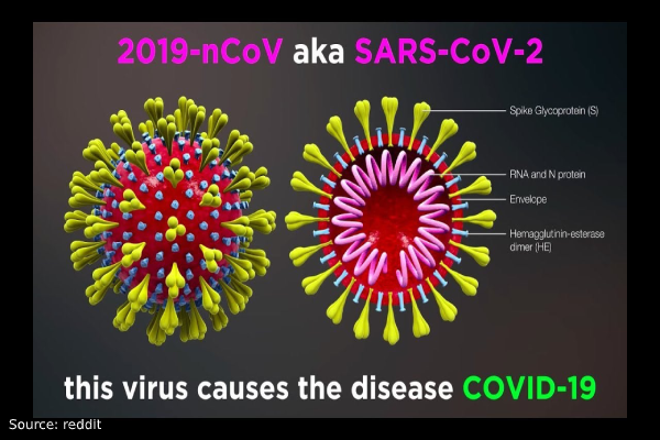 COVID-19 VS SARS