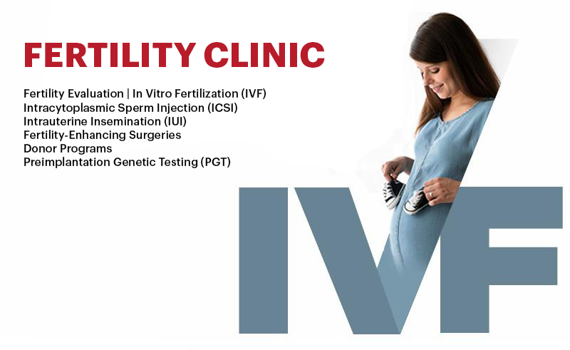 A Comprehensive Look at In-Vitro Fertilization (IVF)