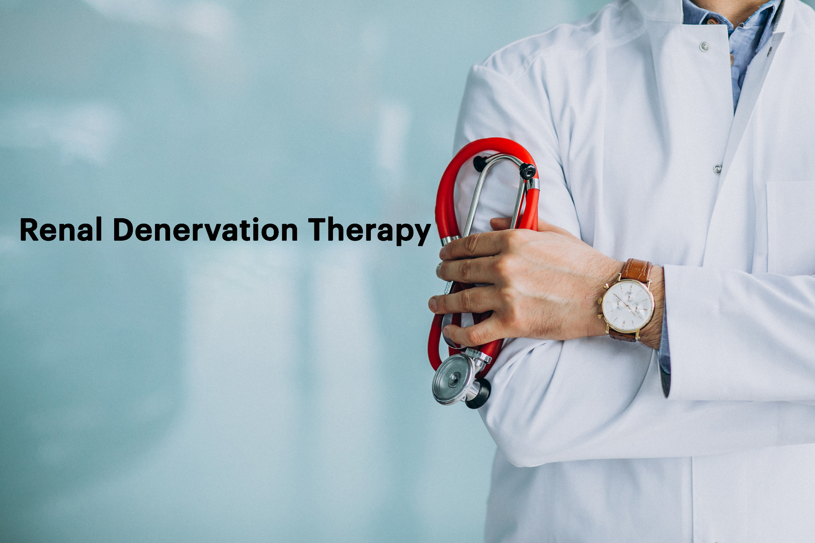 Renal Denervation Therapy   in the Management of   Hypertension on a 72-Year-Old Patient